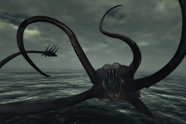 Kraken whitenet зеркала