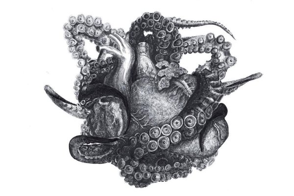Kraken ссылка актуальная