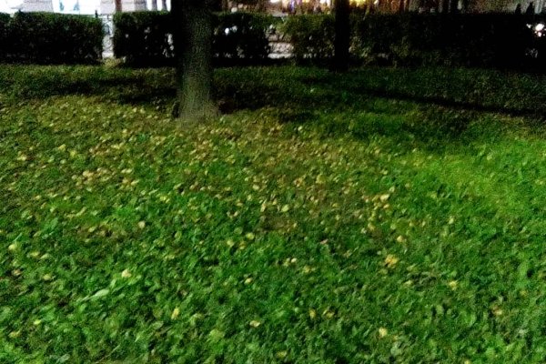 Кракен актуальная ссылка тор