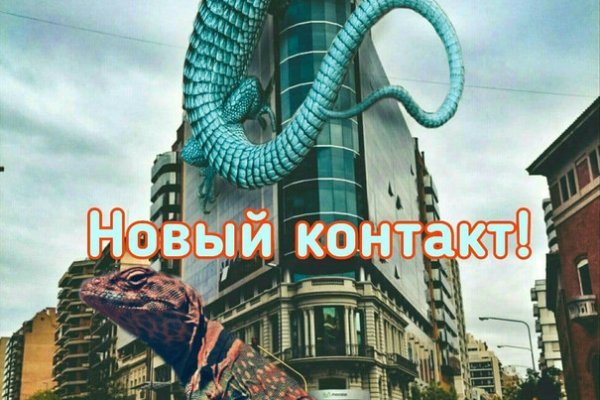 Kraken whitenet store