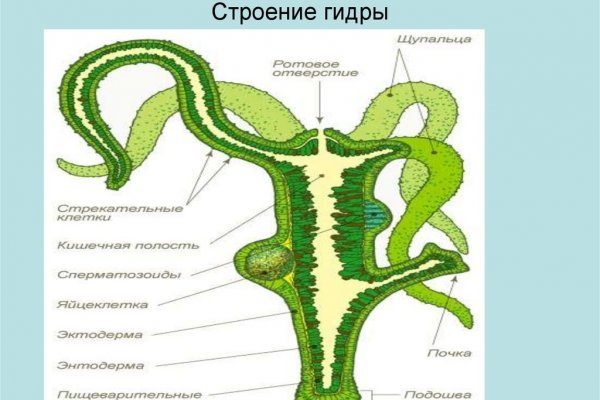 Кракен сайт krakens13 at